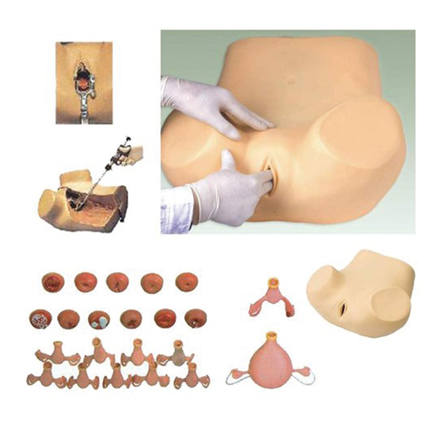 Gynecological Training Simulator 1 Gynecological Training Simulator
